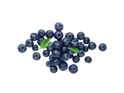 AÇAÍ BERRY